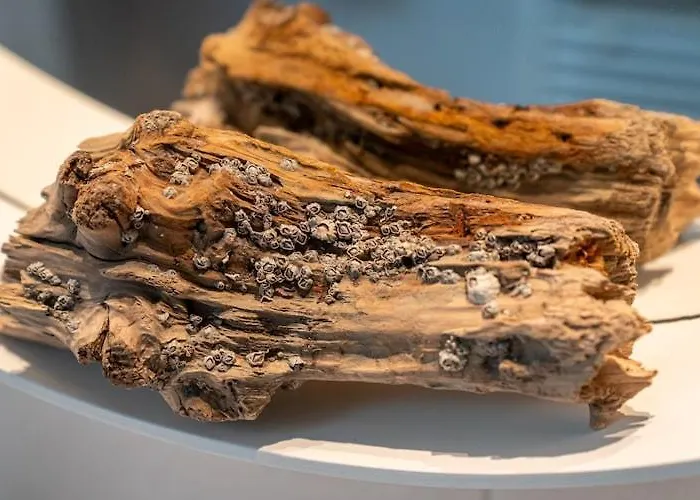 In St Peter-ording * Böhl